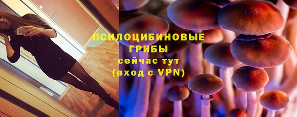 гидра Киренск