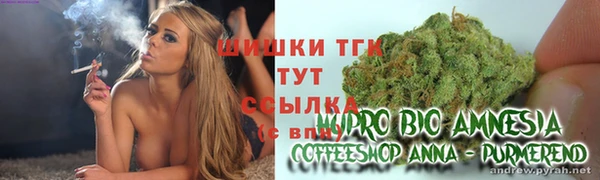 ПСИЛОЦИБИНОВЫЕ ГРИБЫ Саяногорск