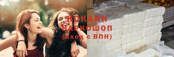 шишки Лабытнанги