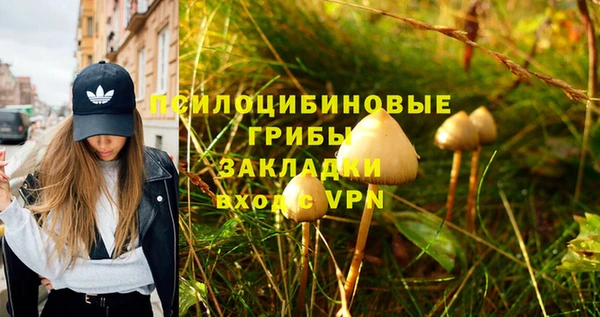 ALPHA PVP Богородск