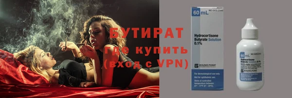 шишки Лабытнанги
