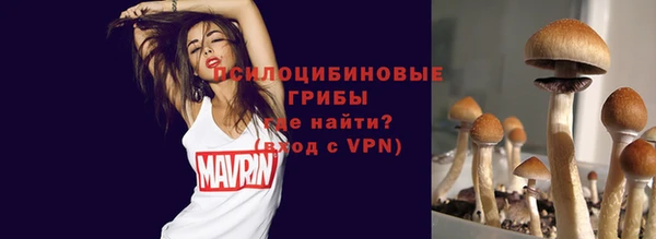 скорость Богородицк