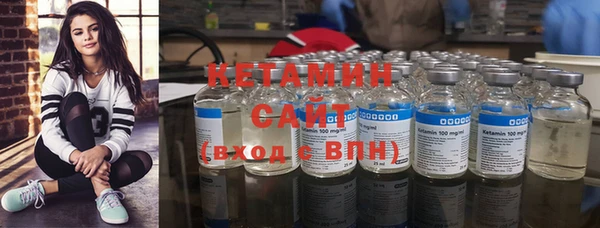шишки Лабытнанги