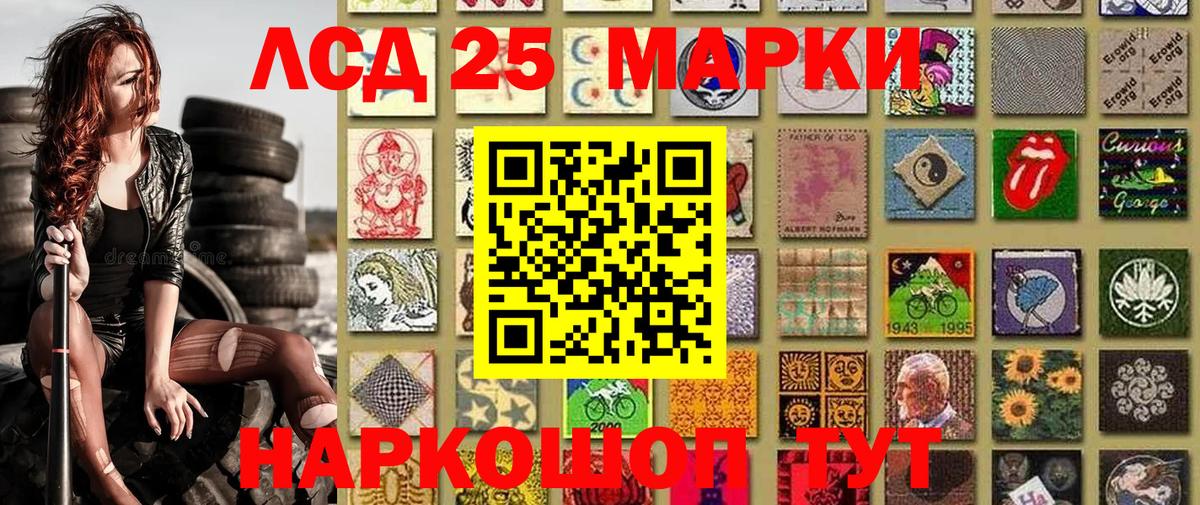 Галлюциногенные грибы Бор