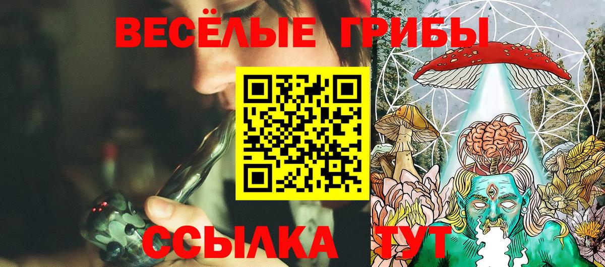 Псилоцибиновые грибы прущие грибы Бор