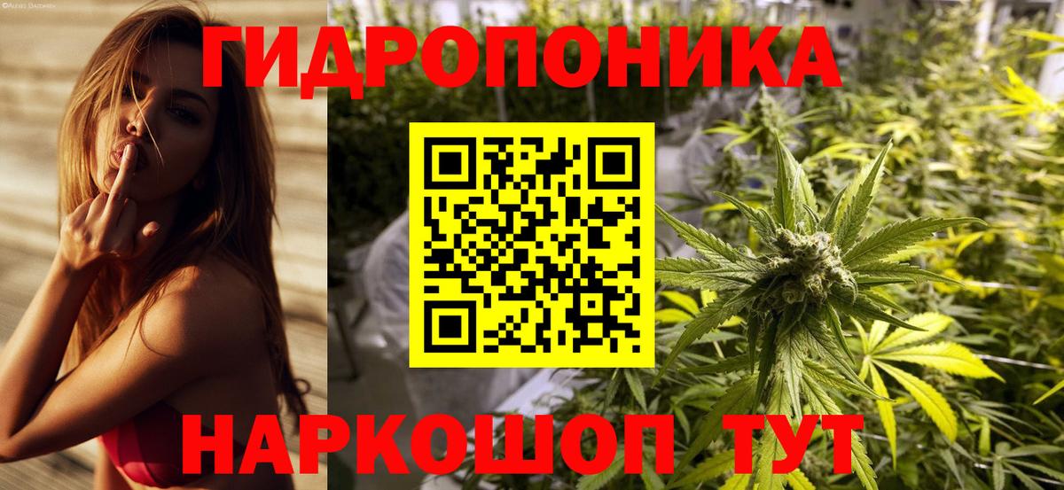 Конопля гибрид Бор